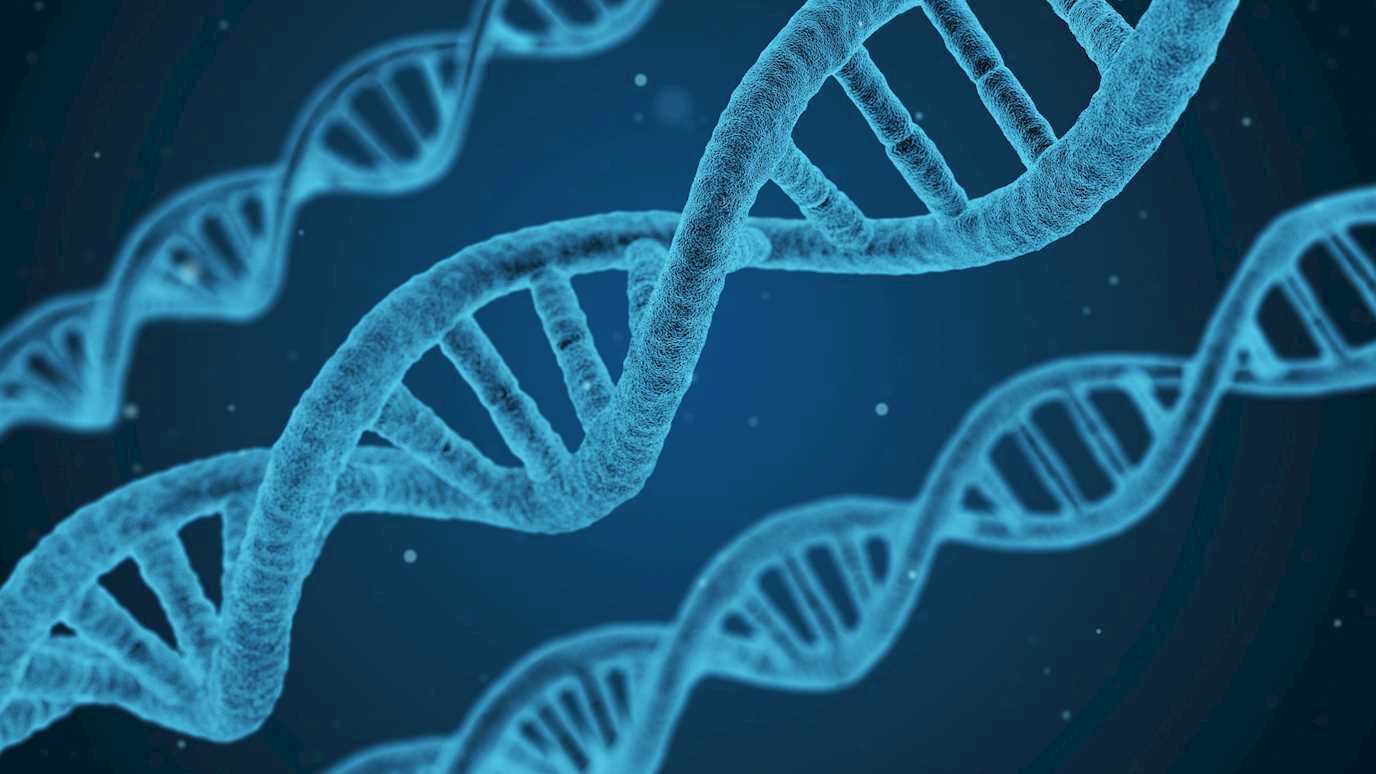 Biological Sciences DNA