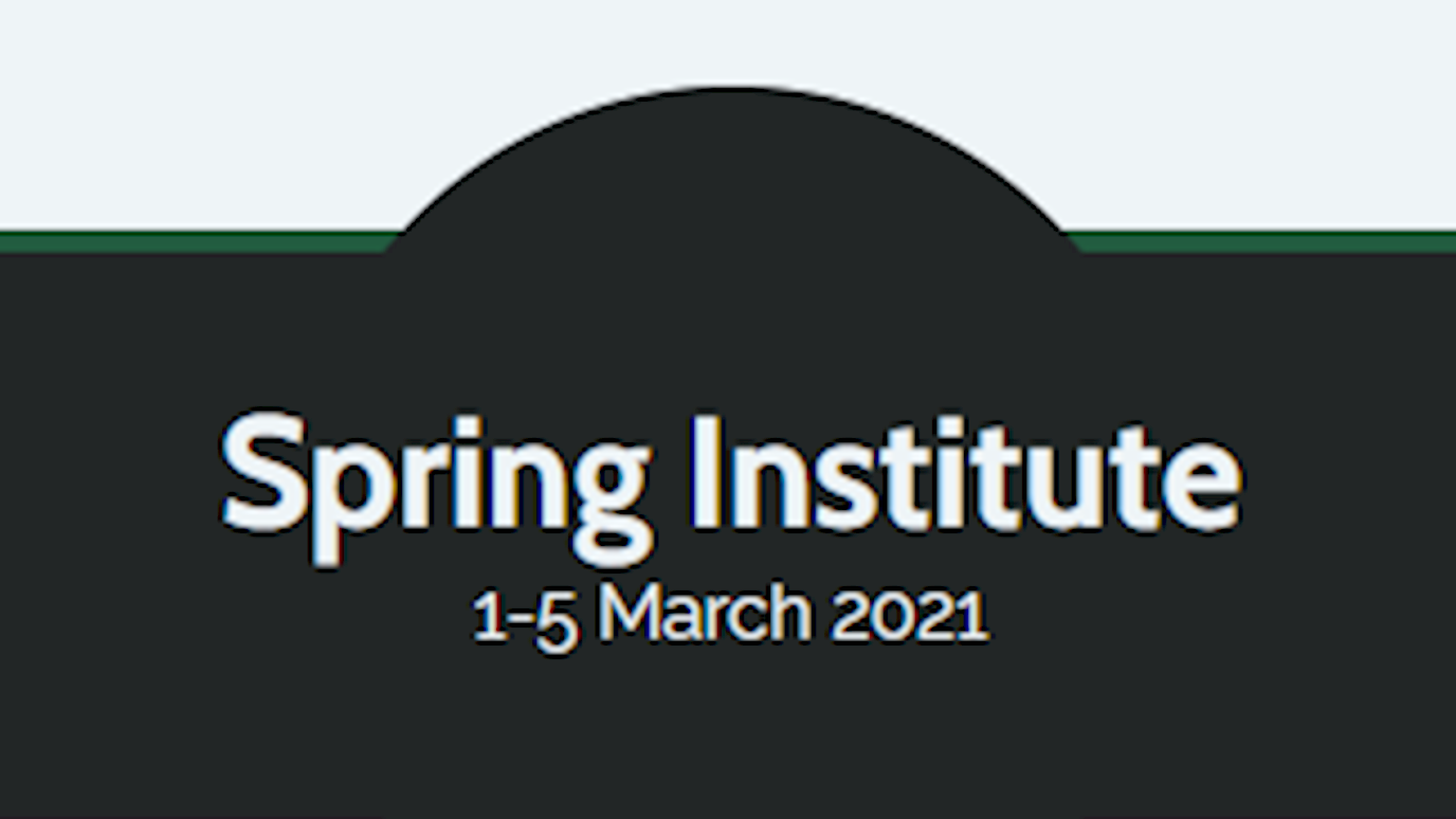 The Spring Institute.png