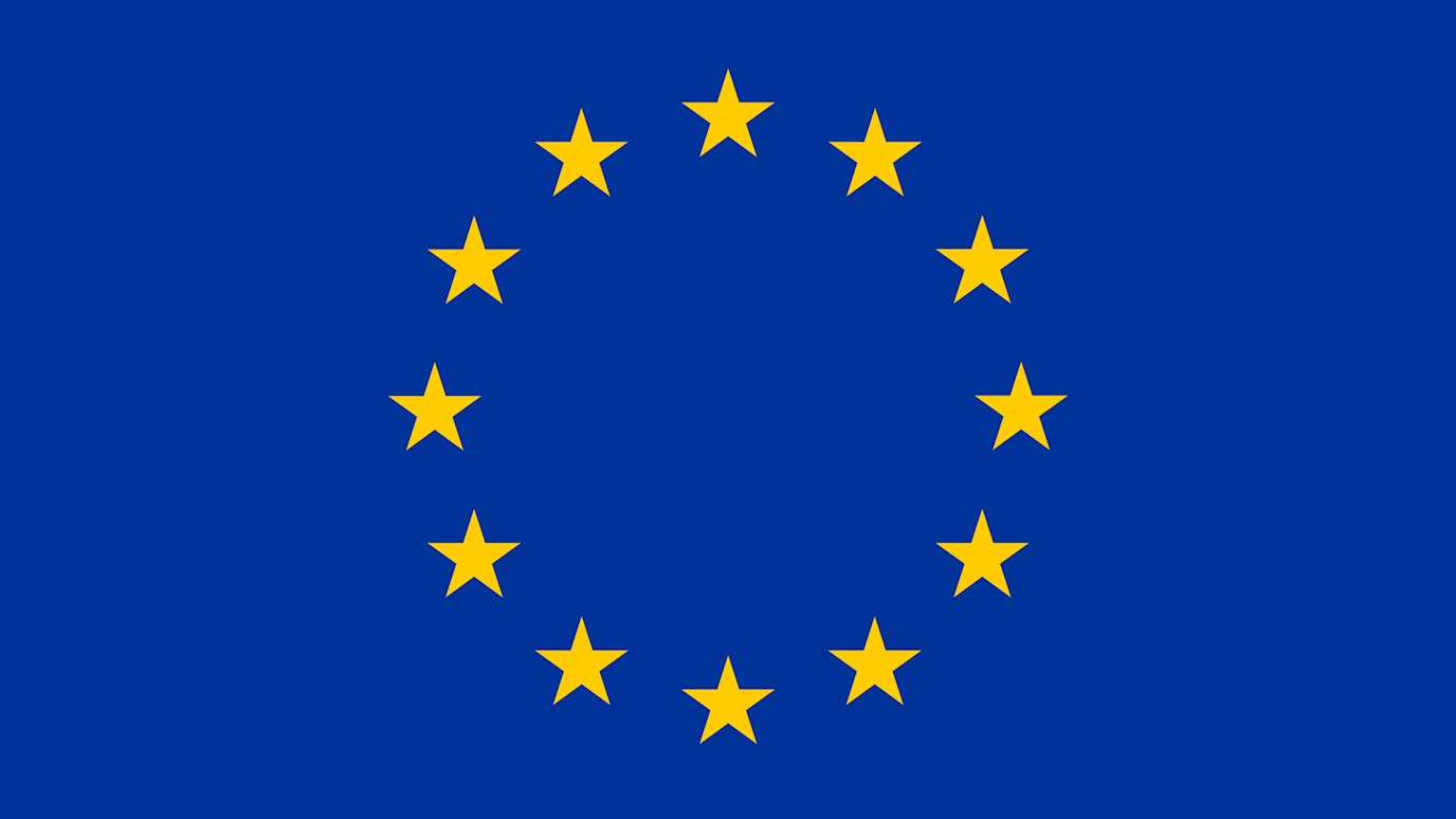 European flag.jpg (1)