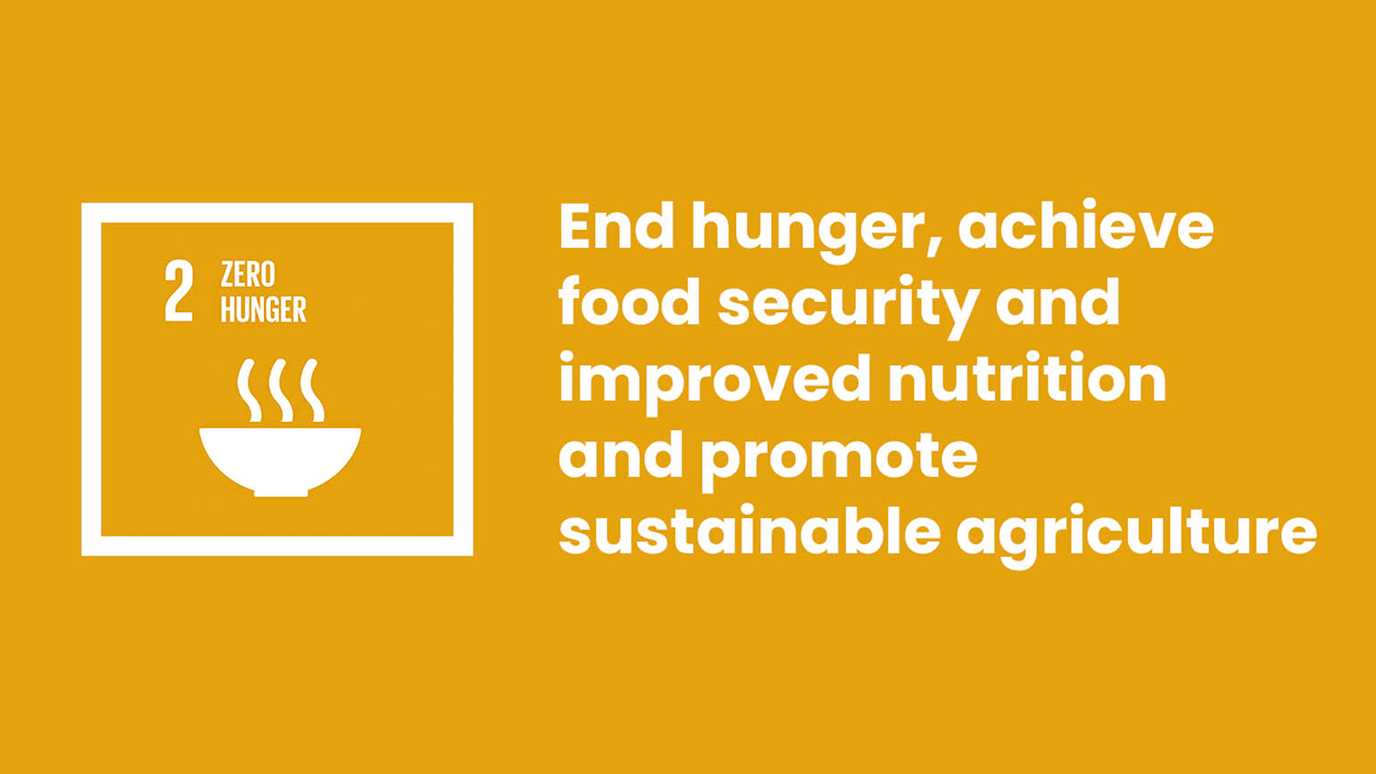 Small-Scale Food Producers: Challenges and Implications for SDG2