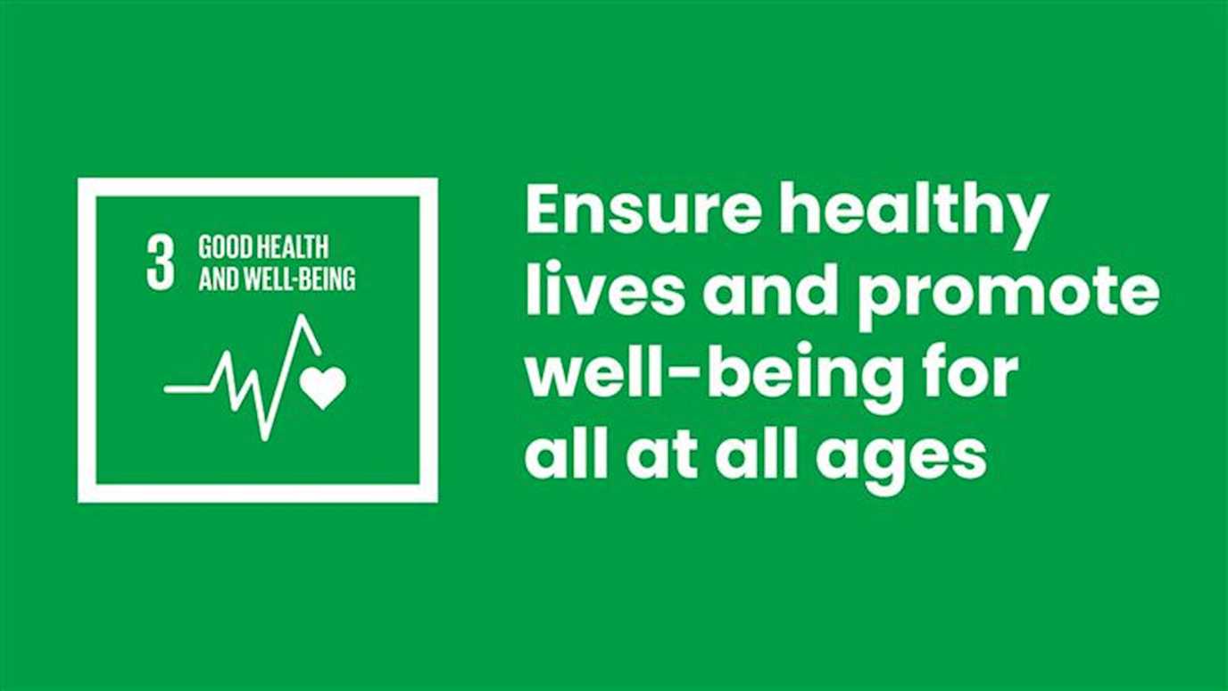 sdg 3 good health and wellbeing essay introduction