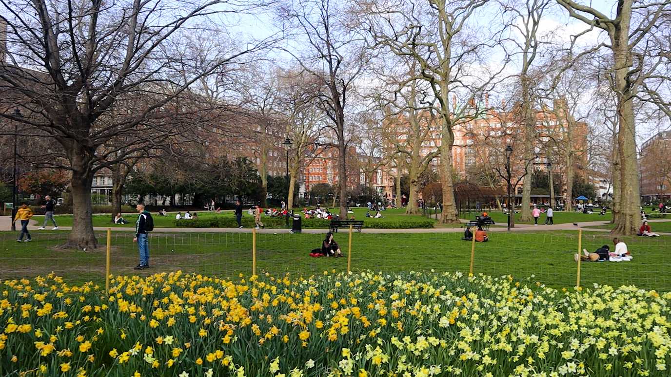 Russell Square, behind Stewart House and Senate House: 