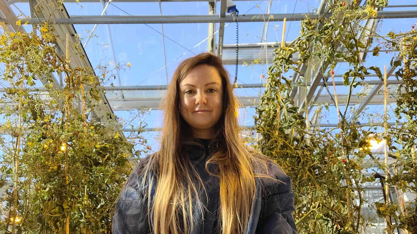 Dr Harriet Berry in the glasshouse at Royal Holloway