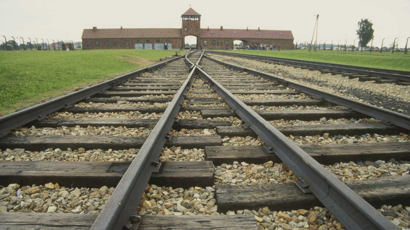 Train lines at Auschwitz, Holocaust Research Institute - History