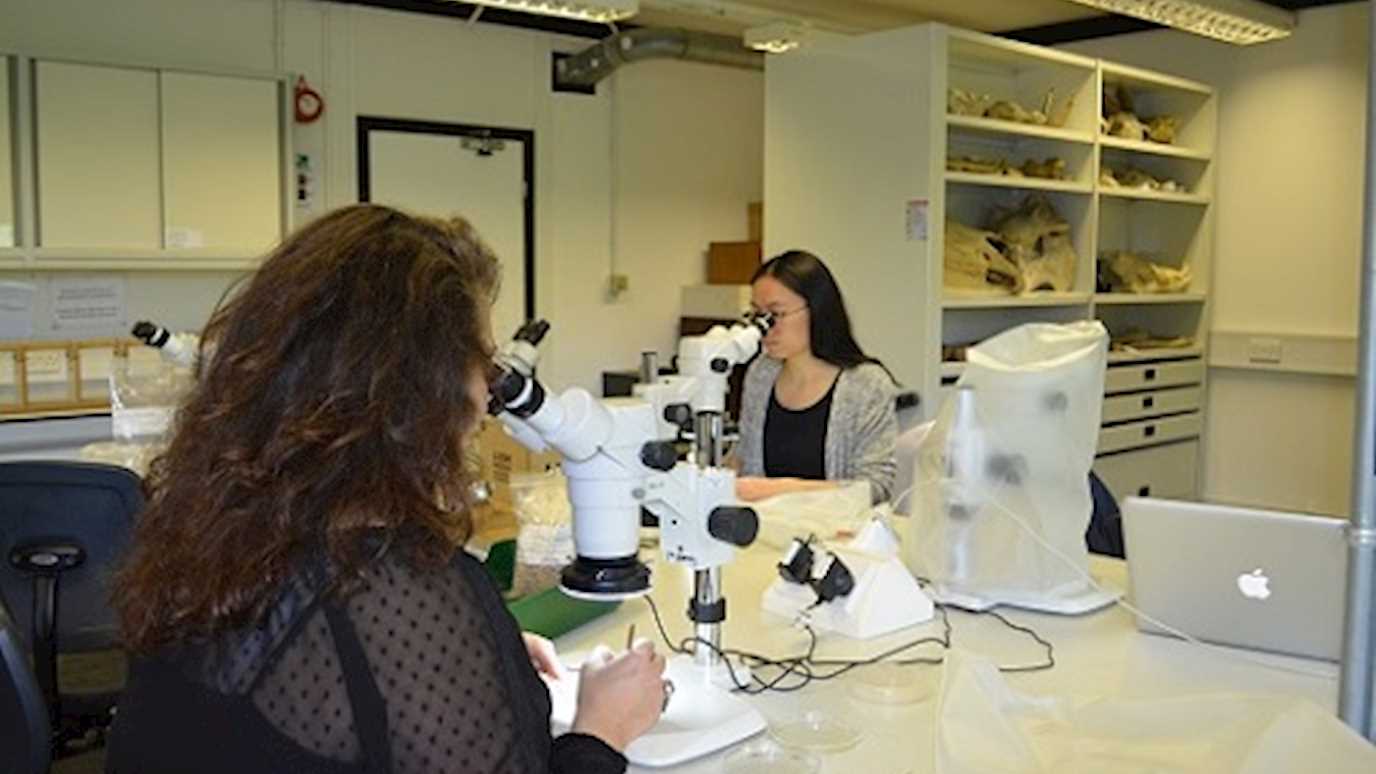 Paleoecology lab