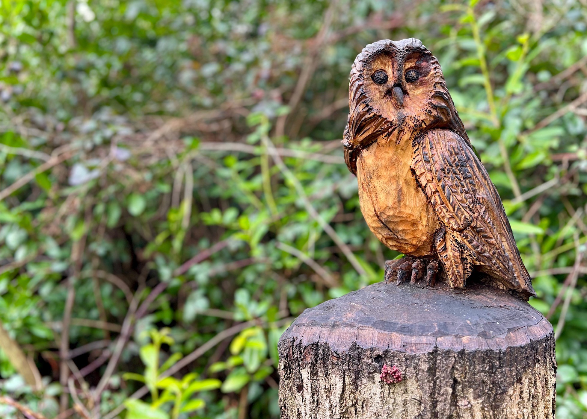 Owl carving